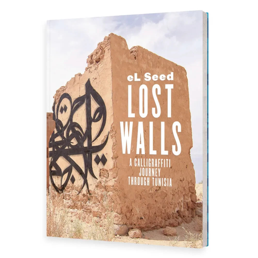 FROM HERE TO FAME BOOKS - Lost Walls - Softcover